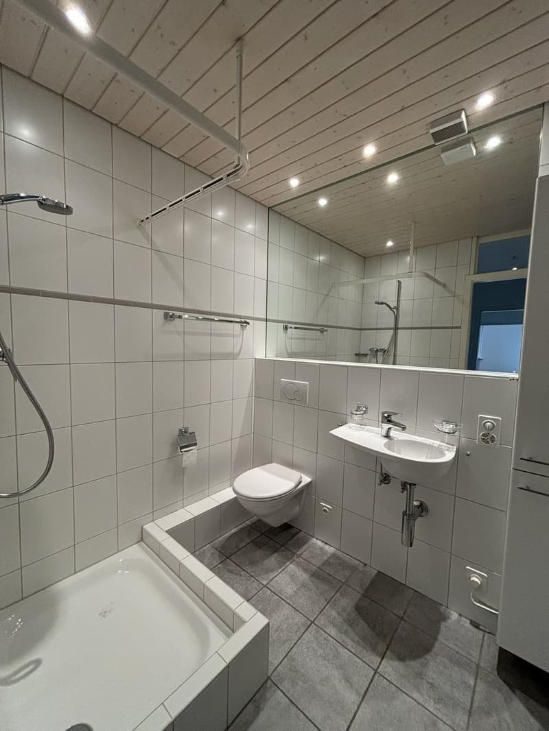 08 Bad mit Dusche weitwinkel