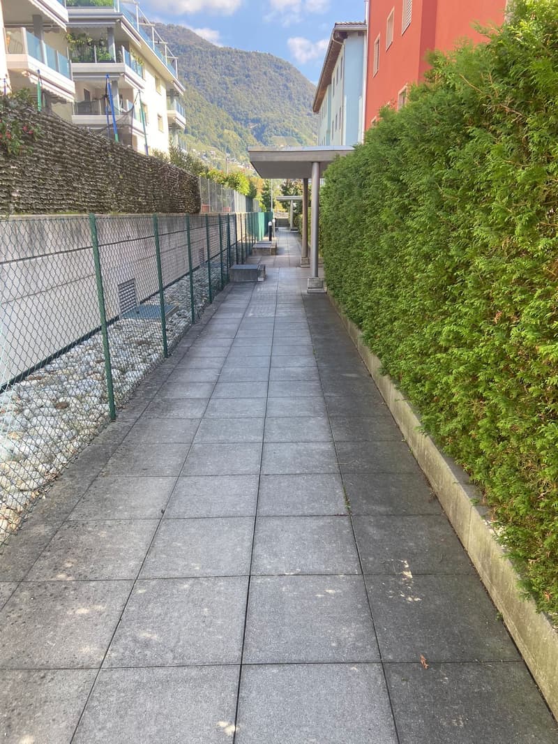 Slate paved pathway with benches on the left and a hedge on the right