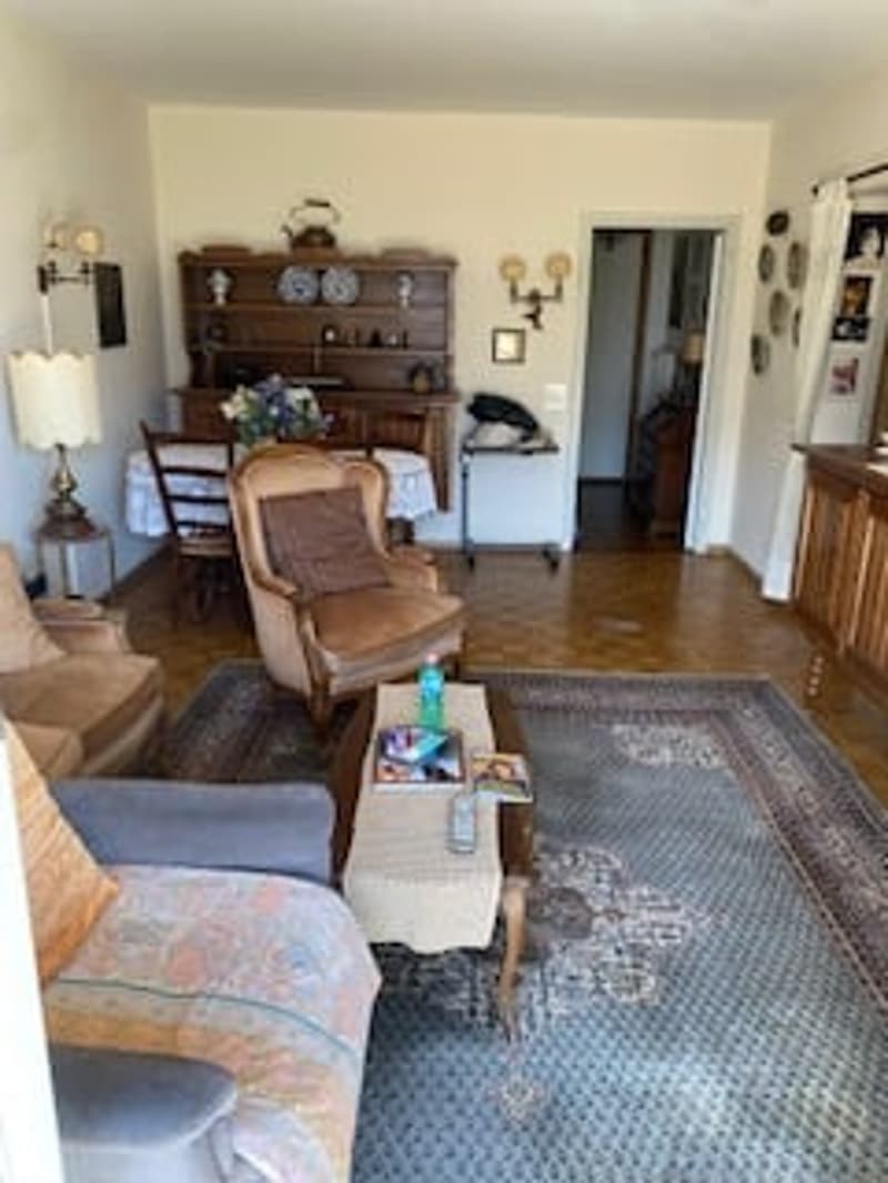 A living room with a couch, coffee table, and a rug. There is a chair, a dining table, and a cabinet. A lamp is on the side table, and a plant is on the dining table. A remote control, a bottle, and a book are on the coffee table.