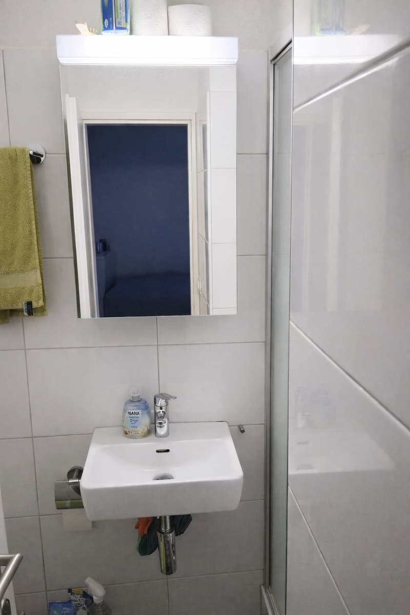 Appartement charmant d'une pièce au 1er étage à Winterthur (4)