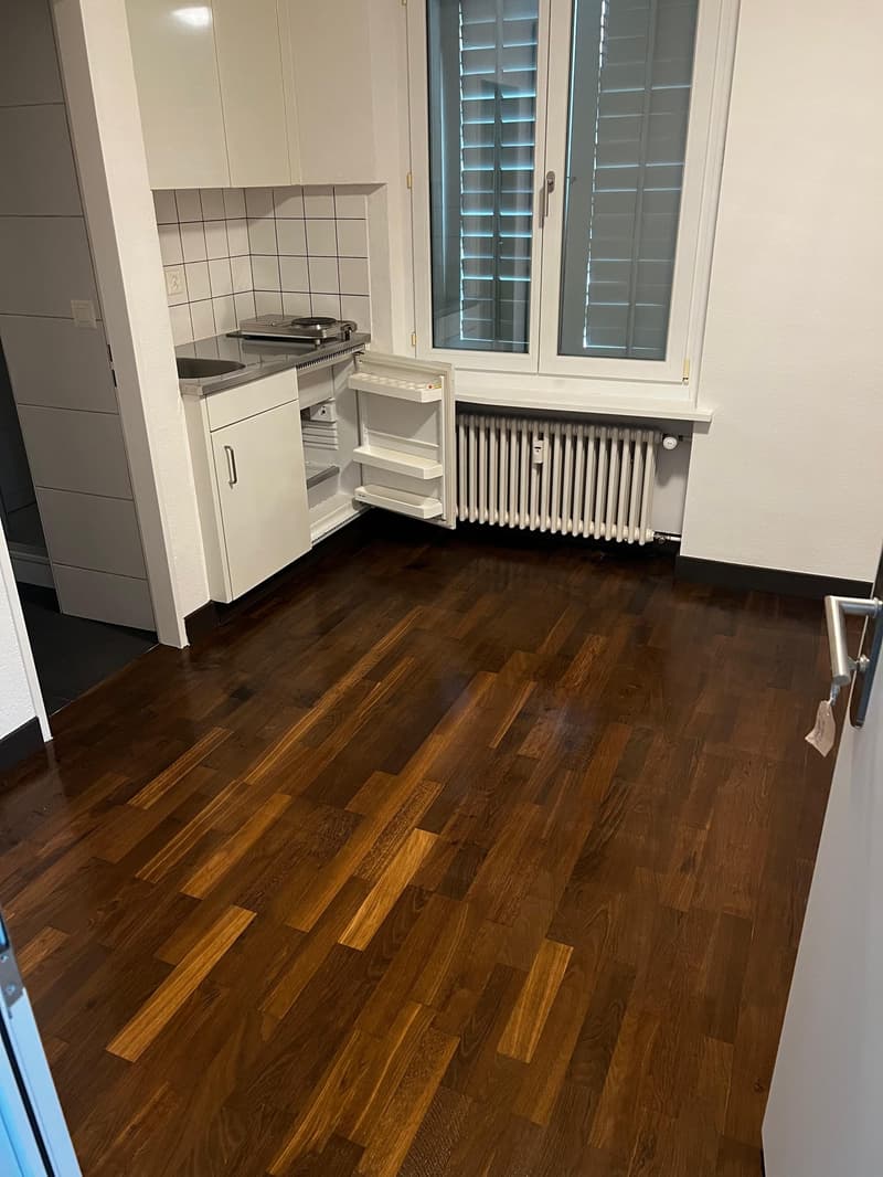 Appartement charmant d'une pièce au 1er étage à Winterthur (1)