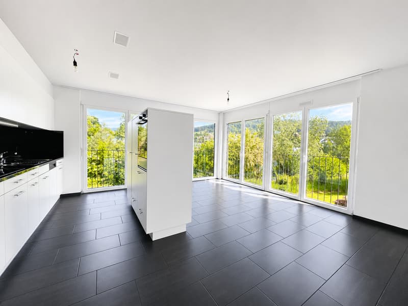 Living directly on the recreation area - Limmat in front of the door! (4)