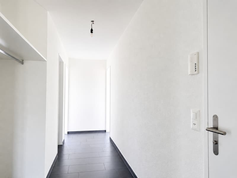Living directly on the recreation area - Limmat in front of the door! (13)