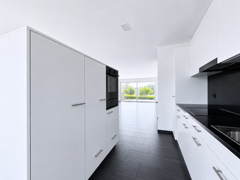 Living directly on the recreation area - Limmat in front of the door! (5)