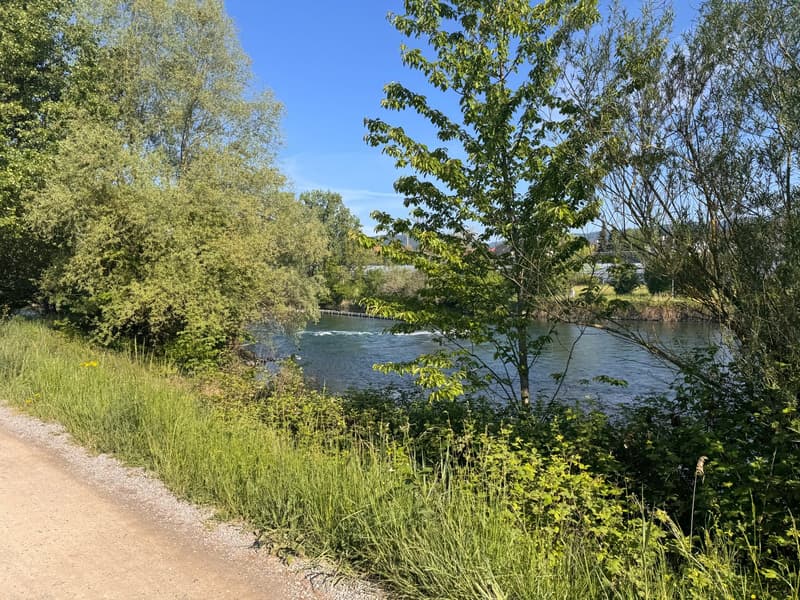 Living directly on the recreation area - Limmat in front of the door! (20)