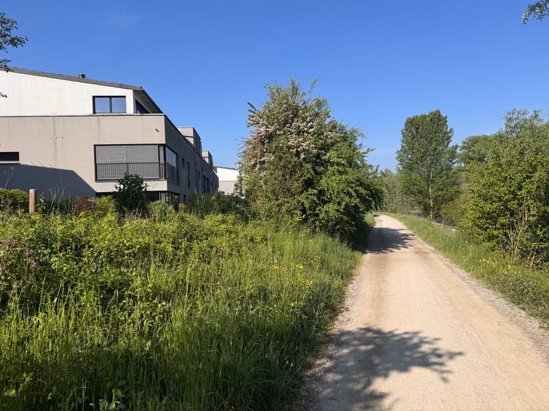Vivere direttamente nella zona di ricreazione - Limmat davanti alla porta! (18)