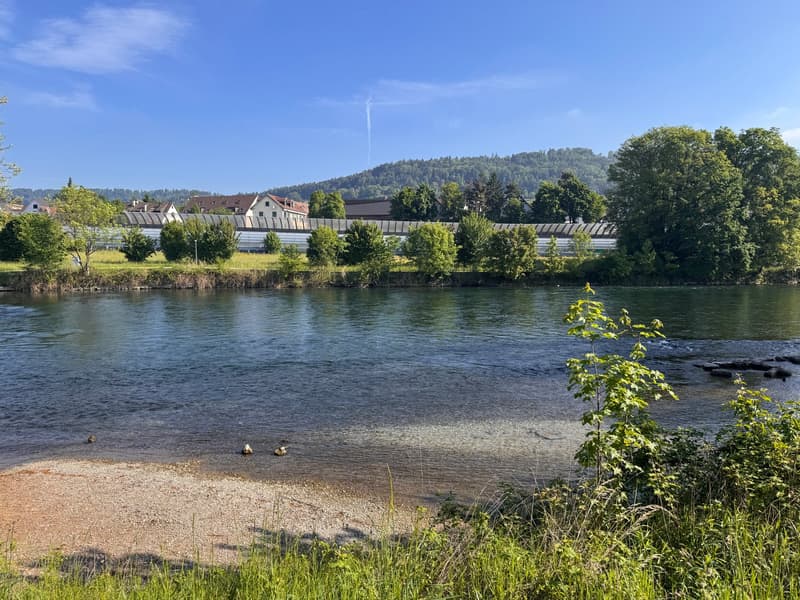 Vivere direttamente nella zona di ricreazione - Limmat davanti alla porta! (19)