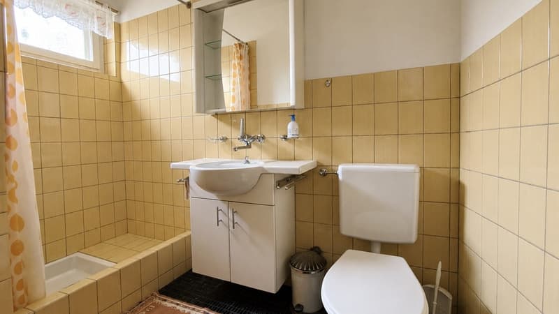 Freistehendes Einfamilienhaus mit Swimmingpool (20)