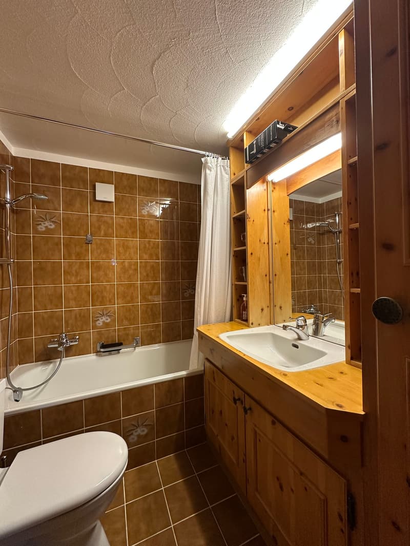 4.5 apartment in La Punt (11)