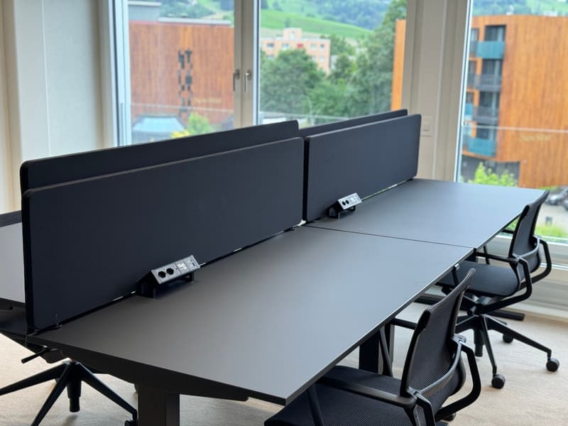 2er-Büro, vollmöbliert & inkl. Office Management Services (7)