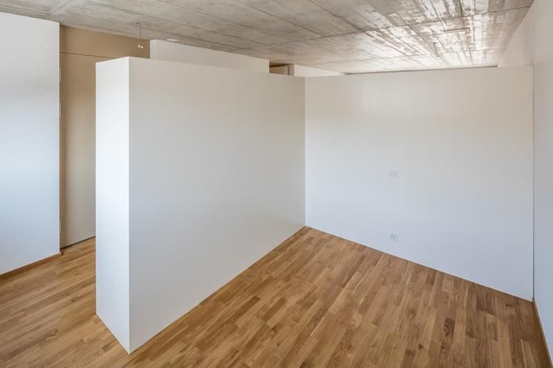 Appartamento 1,5 locali (4)