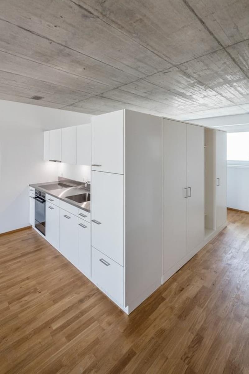 Appartamento 1,5 locali (3)