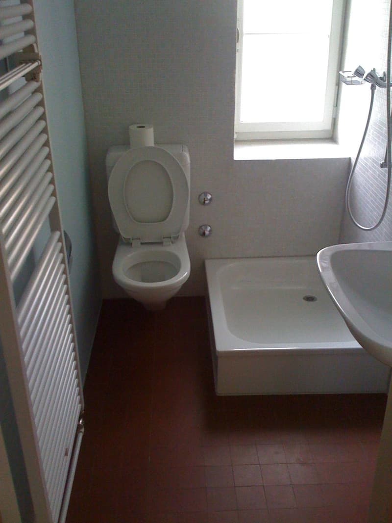 3.0 room apartment in Basel (3)