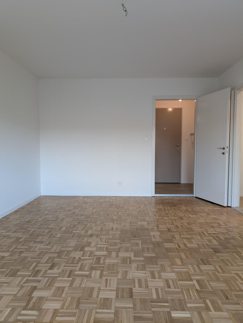 Vivere nel quartiere di Gundeldingen, vicino alla stazione SBB (4)