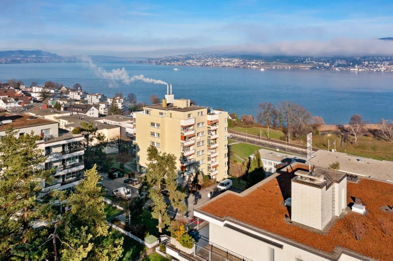 Einzigartige Aussicht auf den Zürichsee - Attraktive Eigentumswohnungen (1)