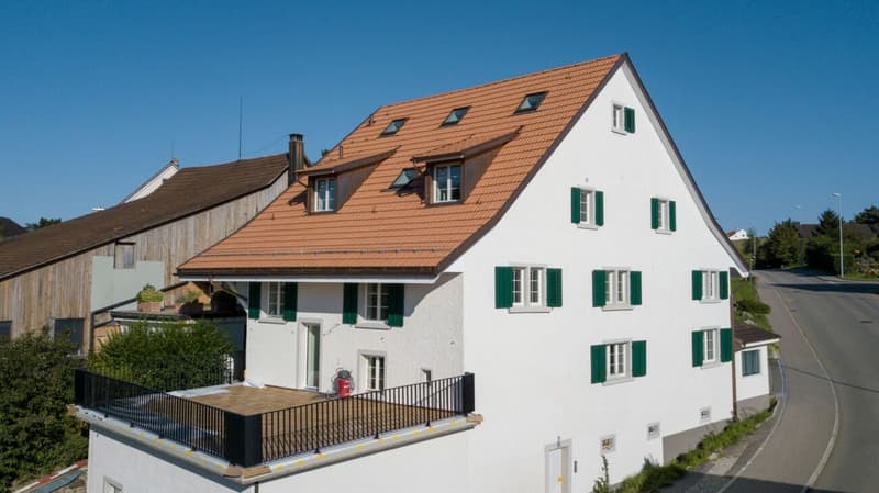 Einzigartiges Wohnen mit Terrasse in historischem Ambiente (8)
