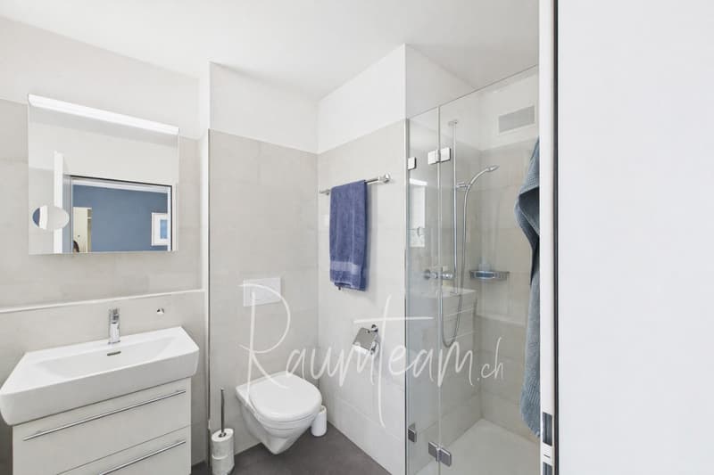Traumhafte Terrassenwohnung in Herdern TG | www.raumteam.ch