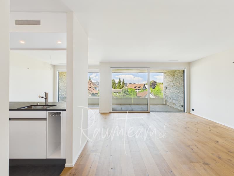 Stylish apartment with a great view and top-notch amenities (8)