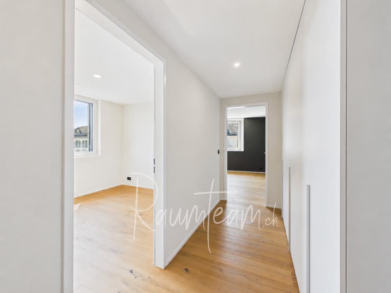 Stylish apartment with a great view and top-notch amenities (4)