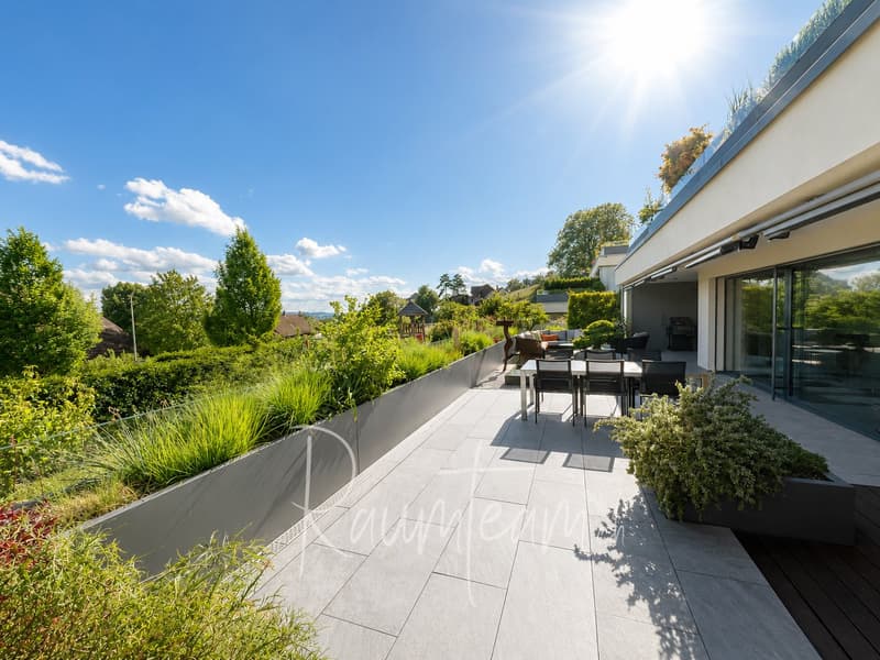 Terrassenwohnung in Herdern kaufen www.raumteam.ch
