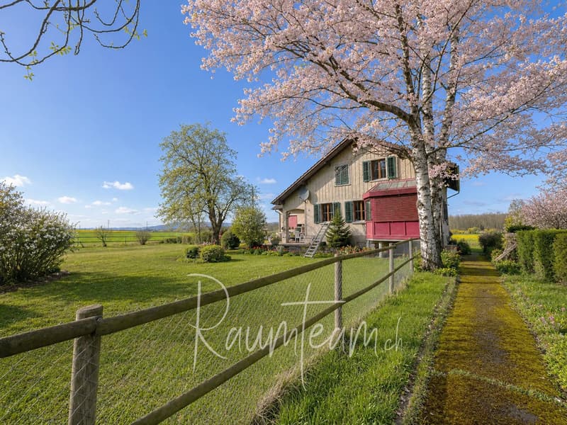 Haus kaufen in Eschikofen Thurgau www.raumteam.ch
