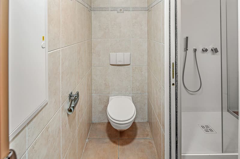 Charming holiday home in the village center of Bigorio - Tessin atmosphere included (7)