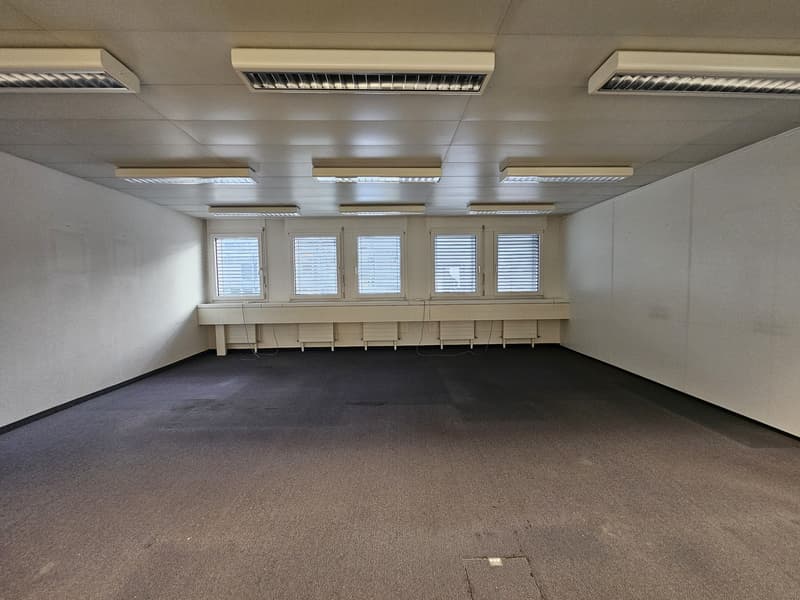 Warehouse in Olten (7)