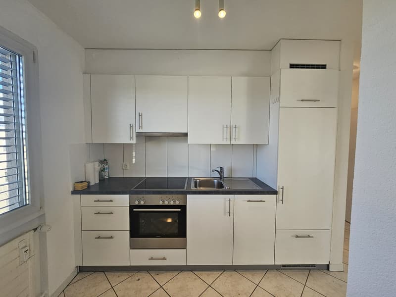 Incantevole appartamento 2.5 locali in mansarda con grande terrazza (5)
