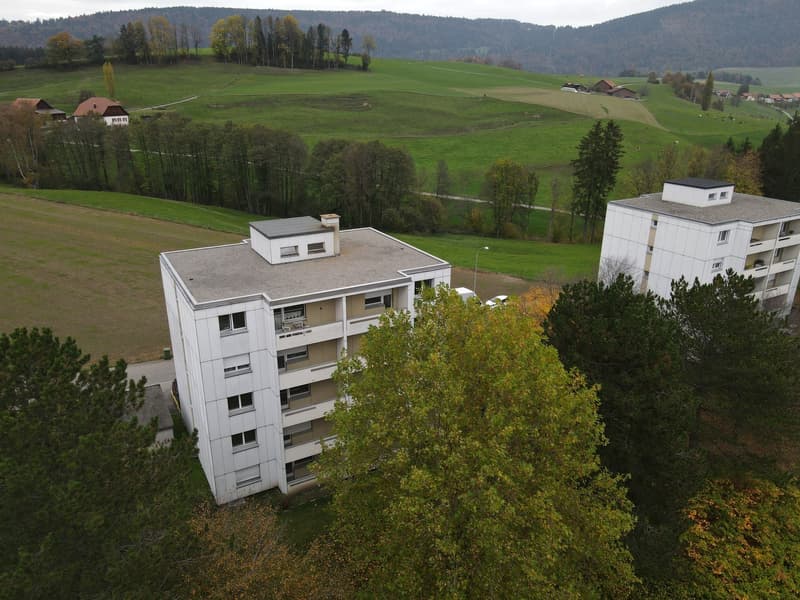 Appartamento di 3 ½ locali, 2710 Tavannes (9)