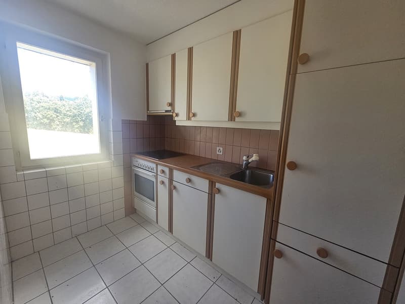 Meraviglioso appartamento di 3.5 locali con balcone! (5)