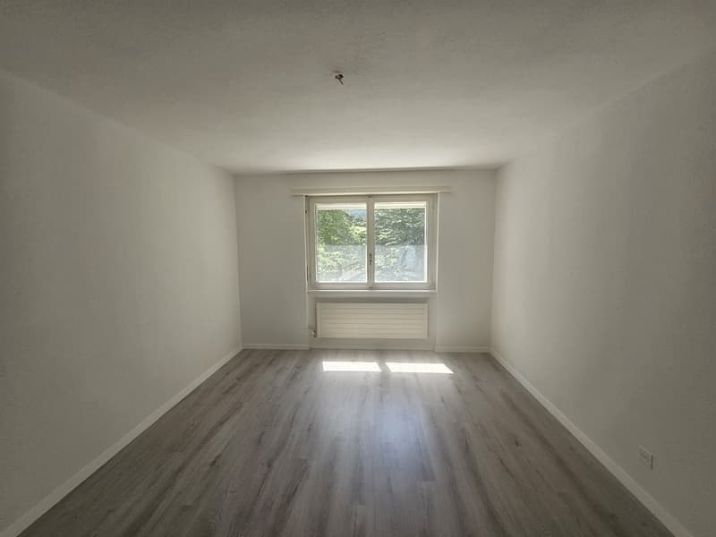 Meraviglioso appartamento di 3.5 locali con balcone! (4)