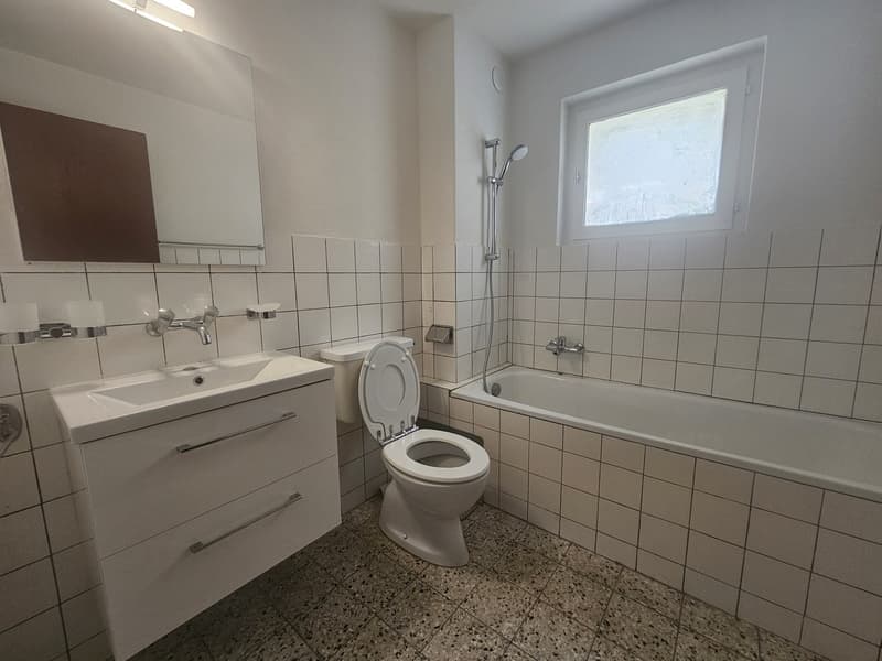 Meraviglioso appartamento di 3.5 locali con balcone! (6)