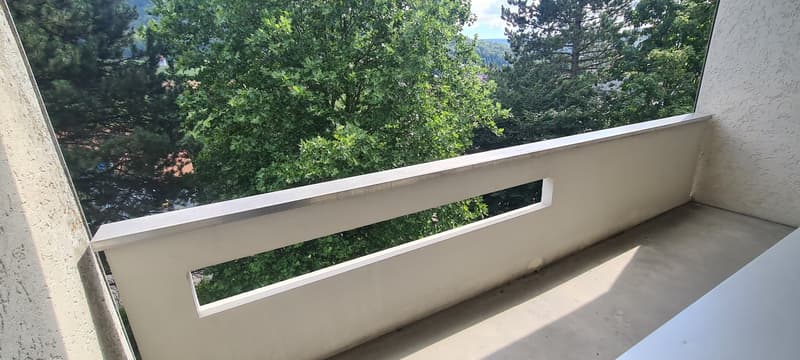 Meraviglioso appartamento di 3.5 locali con balcone! (7)