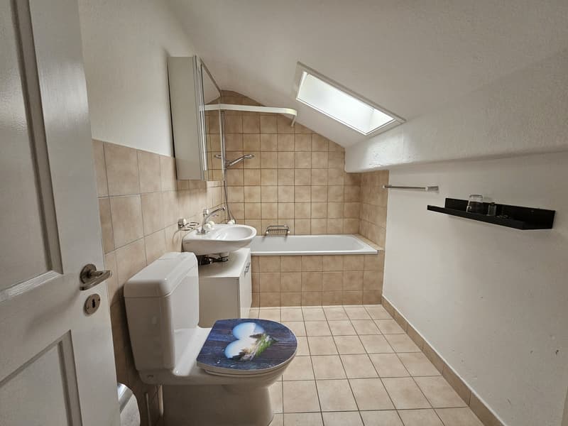 2 ½ Zimmer-Dachwohnung, 4437 Waldenburg (7)