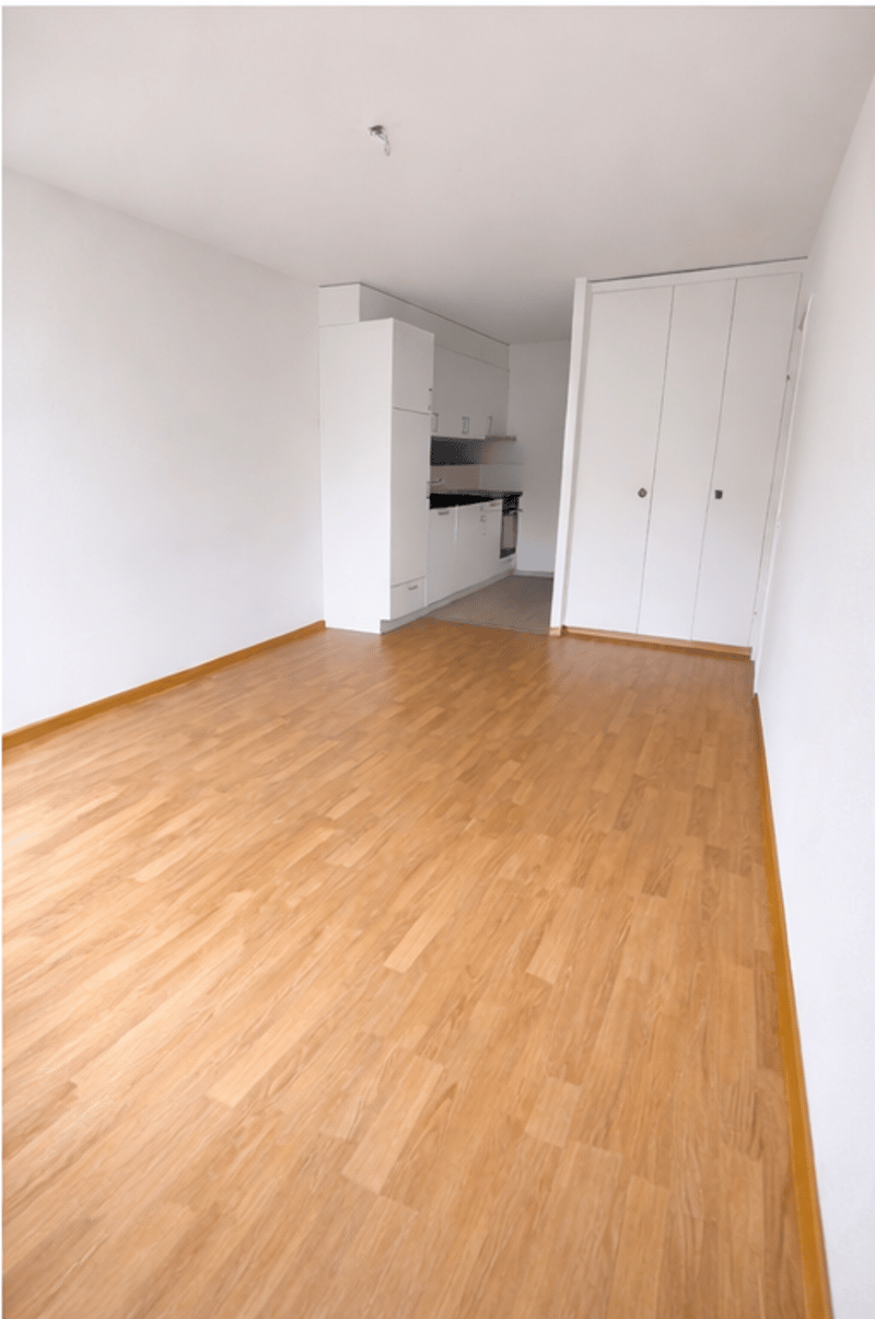 Charming 3.0 room apartment (2)