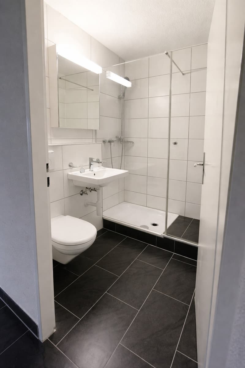 Charming 3.0 room apartment (7)