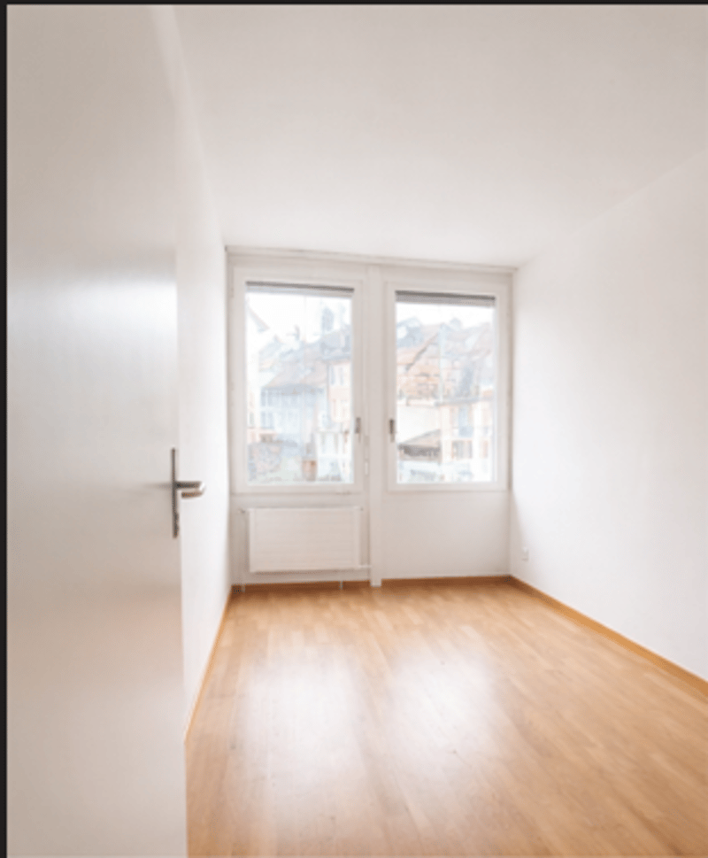 Charming 3.0 room apartment (4)