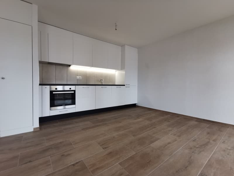 1 ½ room apartment, 2300 La Chaux de Fonds (3)