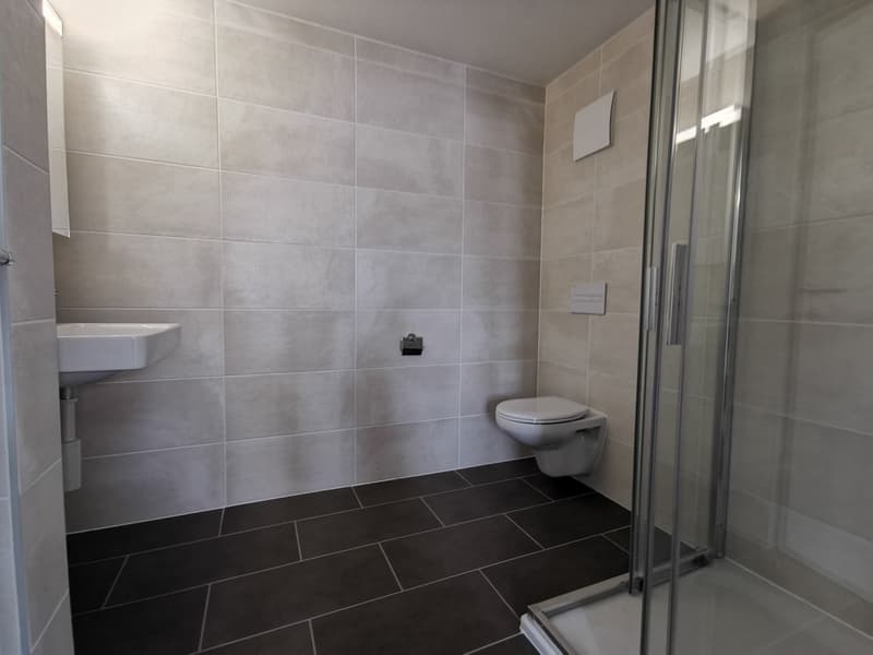 1 ½ room apartment, 2300 La Chaux de Fonds (5)