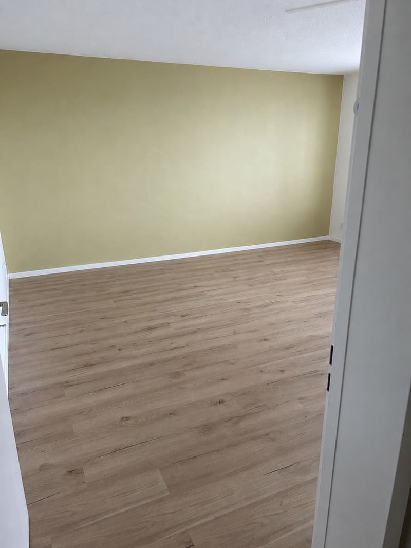 Appartement 4.5 pièces 5e étage (2)