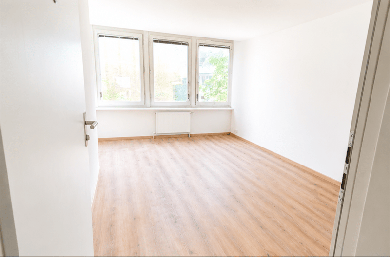 Charming 1 bedroom apartment in Biel (3)