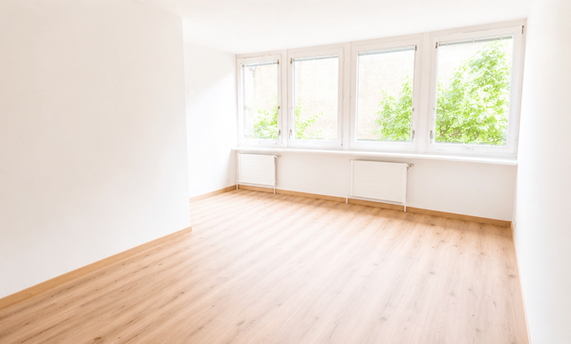 Charming 1 bedroom apartment in Biel (4)