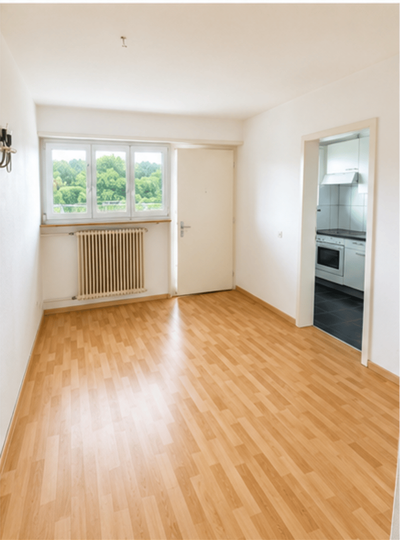 Appartement charmant de 3,5 pièces (3)