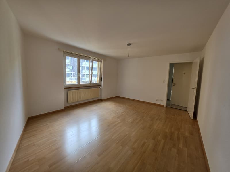 1 Bedroom Apartment, 4632 Trimbach (2)