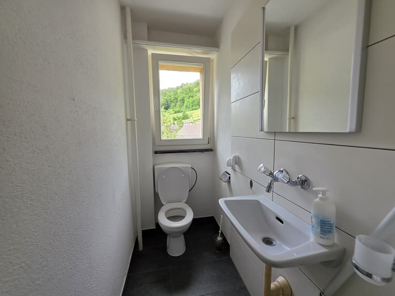 4 Zimmer-Wohnung, 4436 Oberdorf (10)