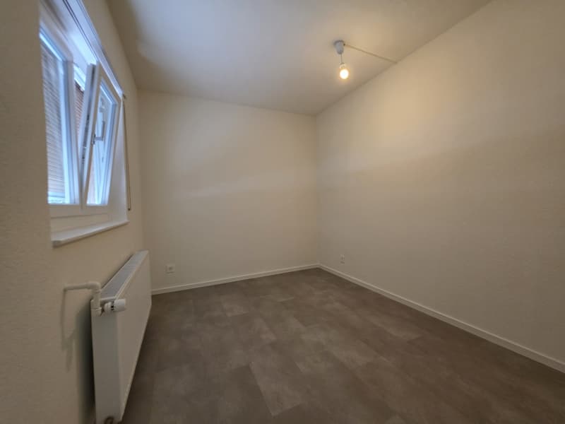 2 Stanza Monolocale, 5200 Brugg (5)