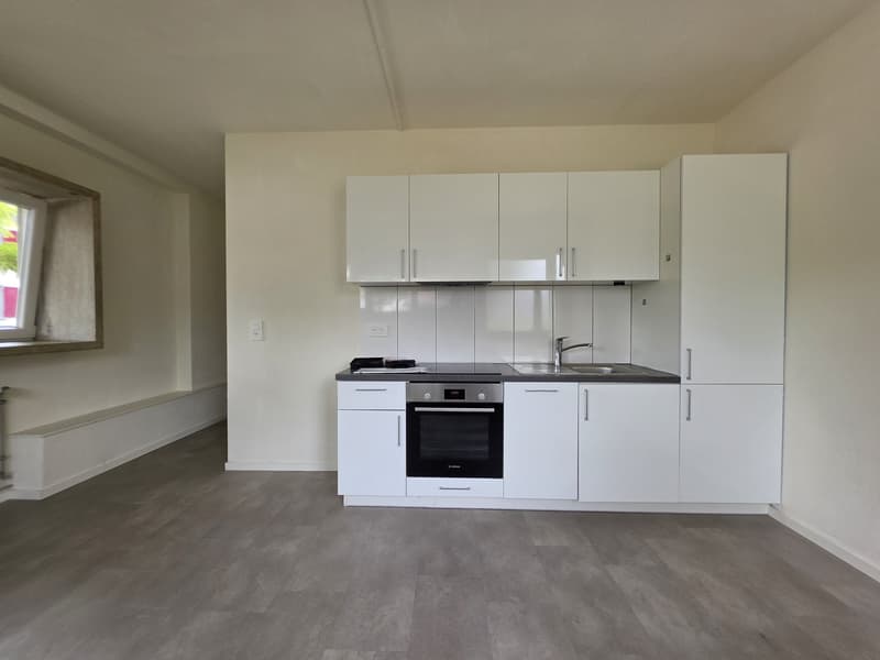 2 Stanza Monolocale, 5200 Brugg (2)