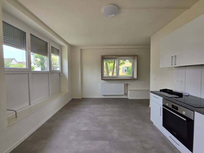 2 Stanza Monolocale, 5200 Brugg (1)