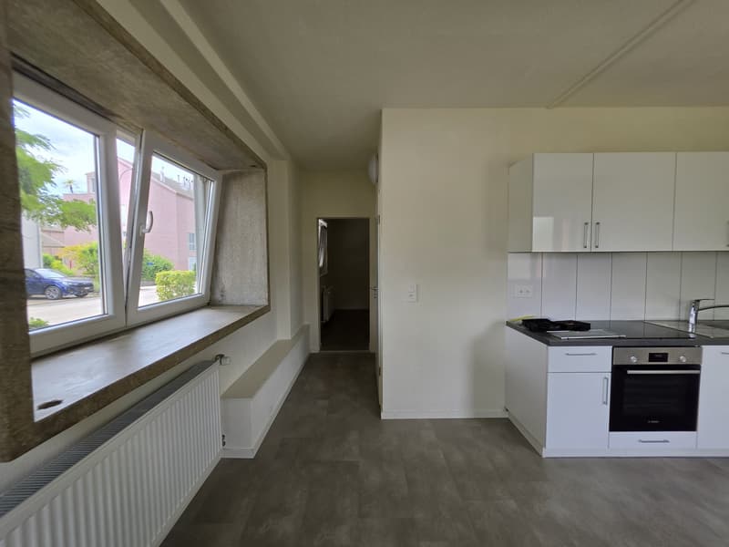2 Stanza Monolocale, 5200 Brugg (7)