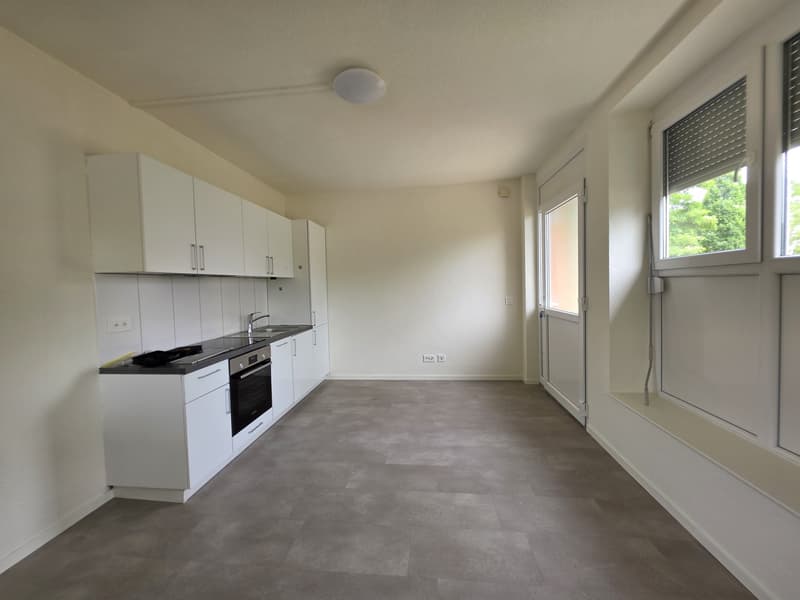 2 Stanza Monolocale, 5200 Brugg (3)